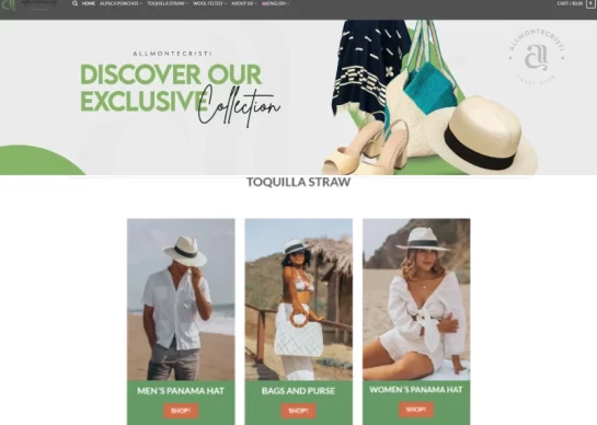 diseño web allmontecristi